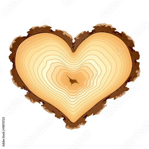 Wooden cross section of the heart shape. Vector.