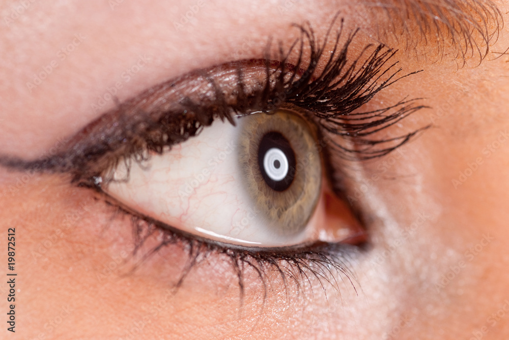 Obraz premium Eye profile