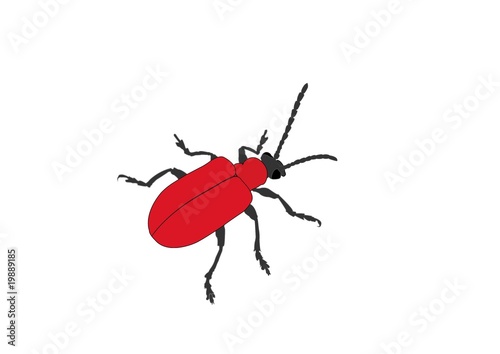 red bug
