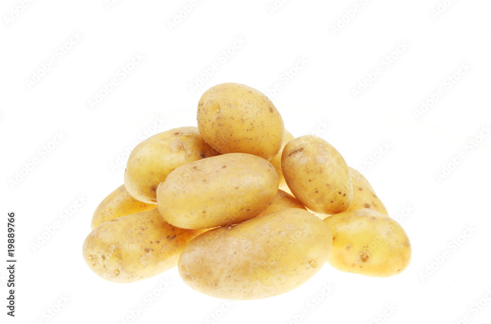 Potatoes Potatoes