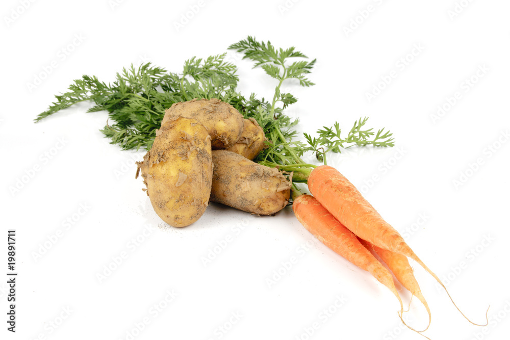 Bunch on raw crunchy carrots on a reflective white background Bunch on raw crunchy carrots on a reflective white background