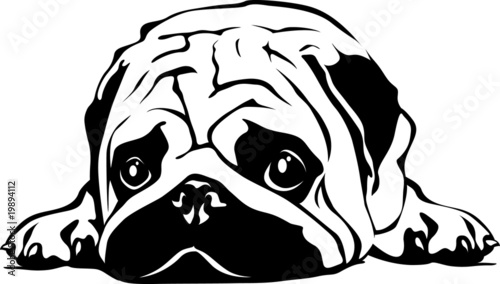 Sleeping Pug 02