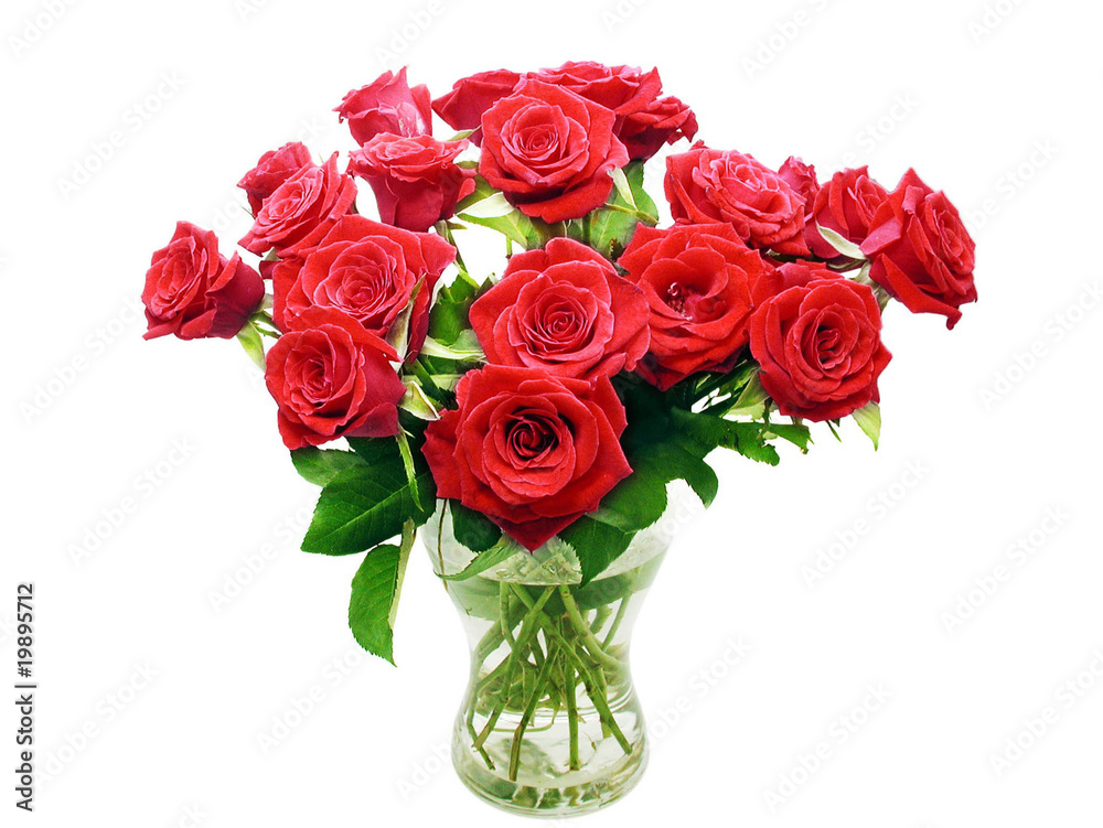 pli0130.jpg pli0130.jpg