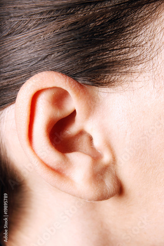 Human ear