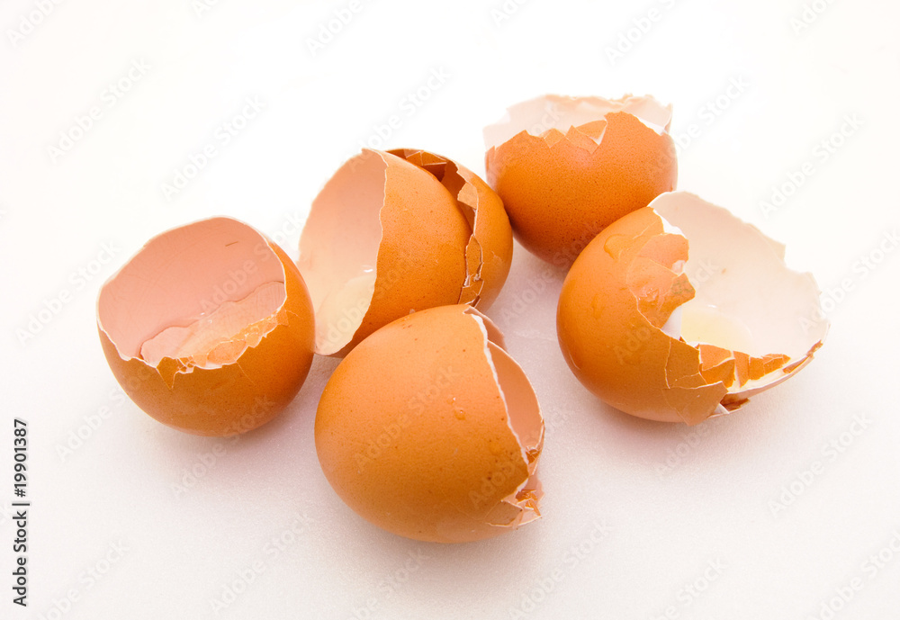Eggshells on the Neutral Background Eggshells on the Neutral Background