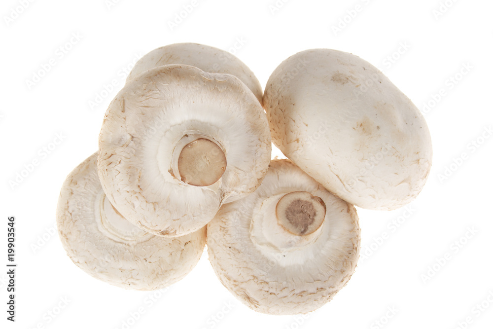 Button Mushrooms Button Mushrooms