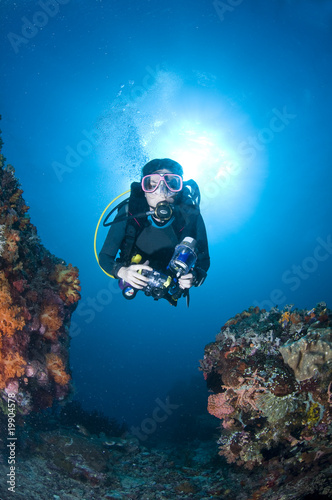 Fototapeta Naklejka Na Ścianę i Meble -  Plongeuse le long du récif, photo sous marine, Lembeh, IndonŽsie