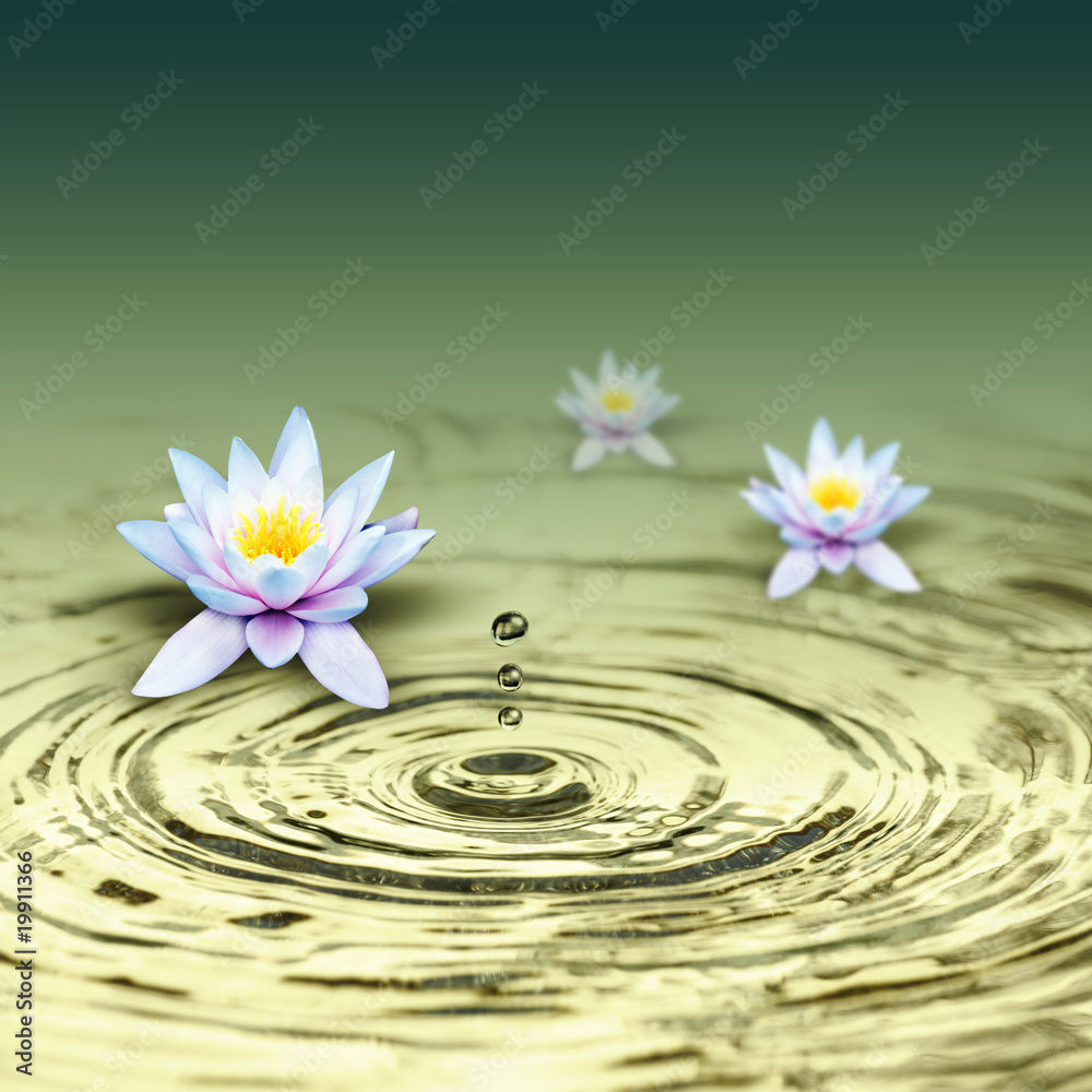 Blumen im Wasser