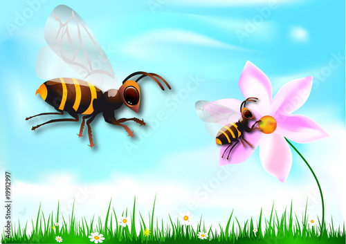abeilles