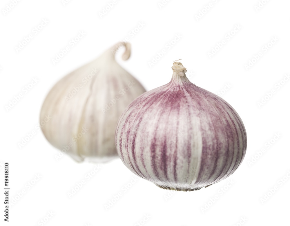 Obraz premium Garlic