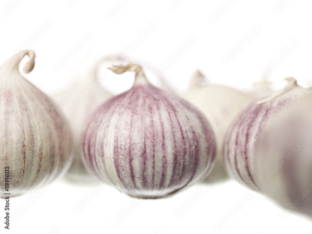 Obraz premium Garlic