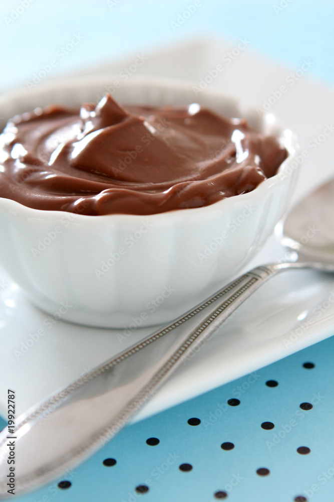 Chocolate Pudding Chocolate Pudding