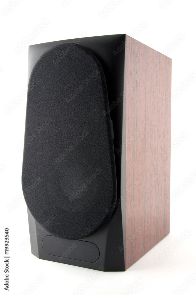 Obraz premium Isolated wood speaker.