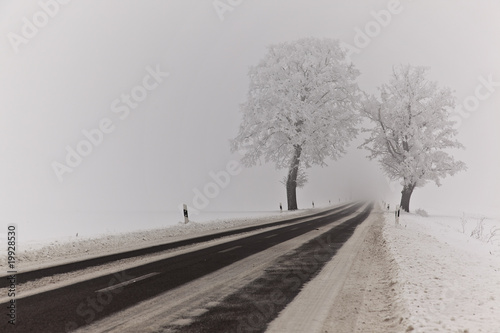 straße im winter photo