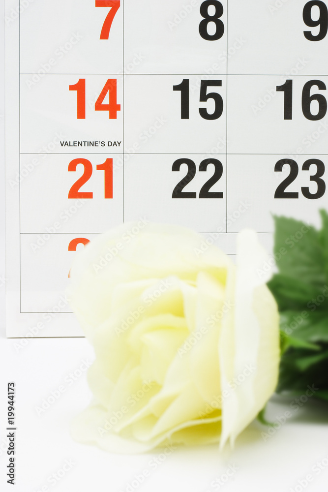Fototapeta premium Valentine's day;