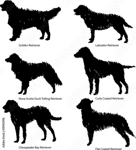 Retriever - Abstract