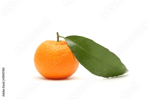 tangerine