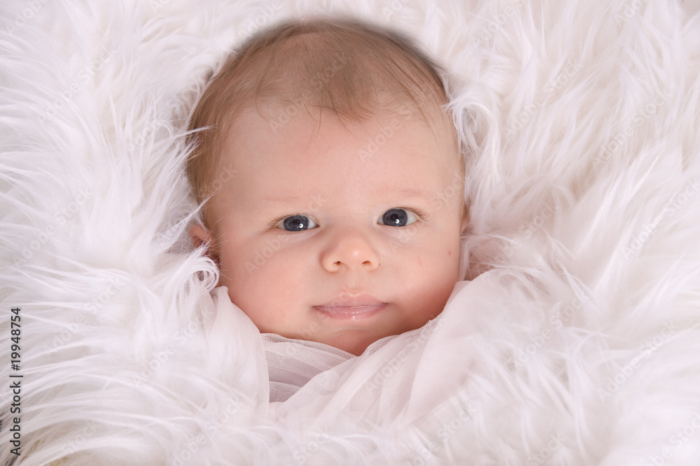 portrait de bébé de deux mois portrait de bébé de deux mois