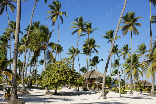 les belles plages de la république dominicaine © amskad
