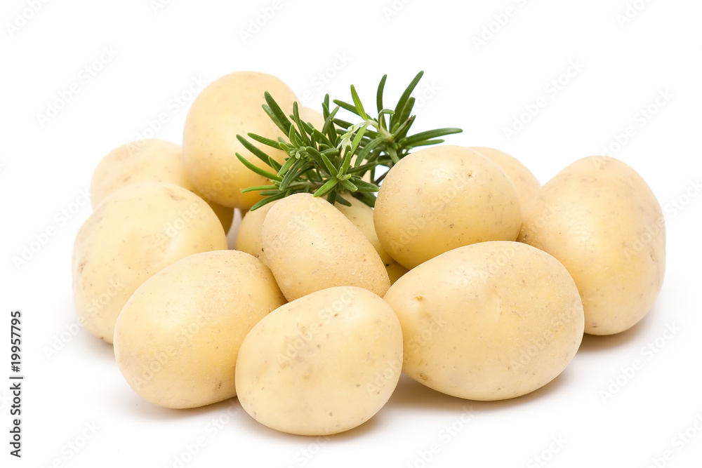 potatoes and fresh rosemary potatoes and fresh rosemary