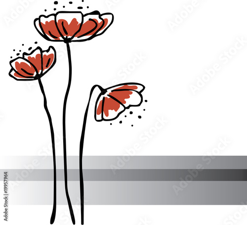 Red Poppy Postcard