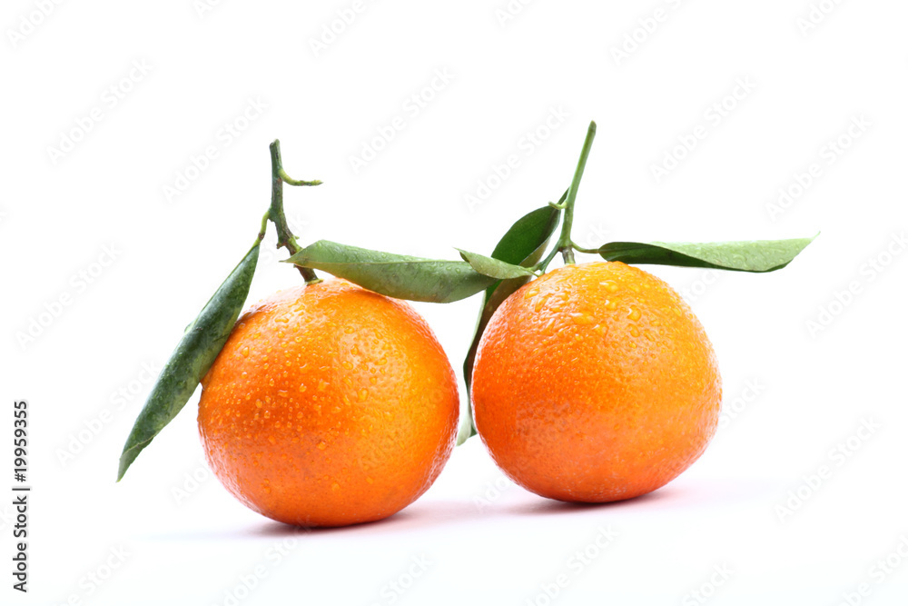 Mandarinen