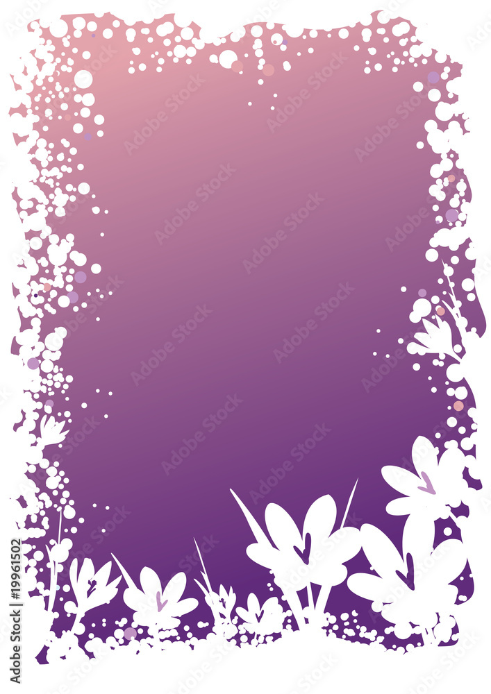 crocus flower border crocus flower border