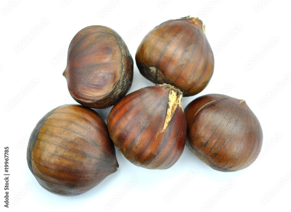 Maronen Maronen