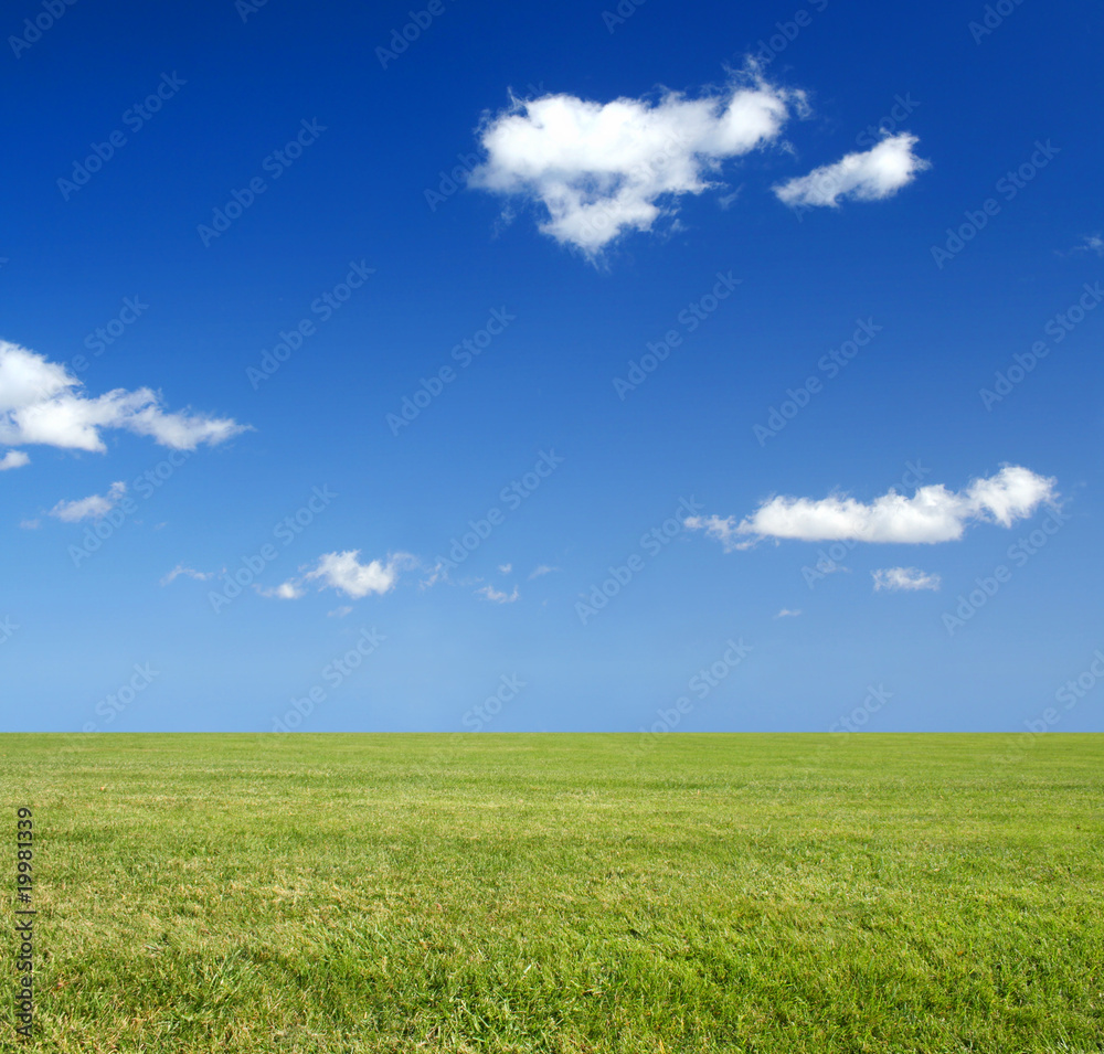 Vast grass field