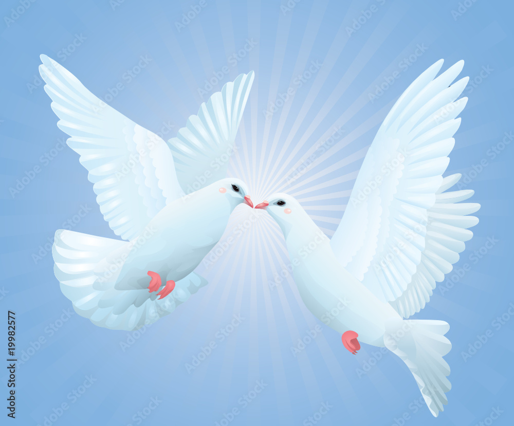 Obraz premium Pigeons.