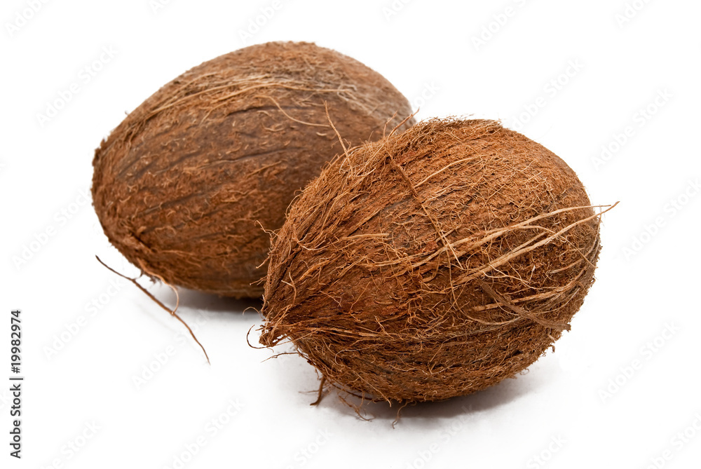 coconut coconut
