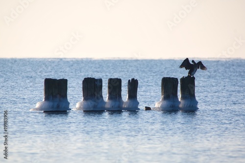 Baltic Sea. Winter
