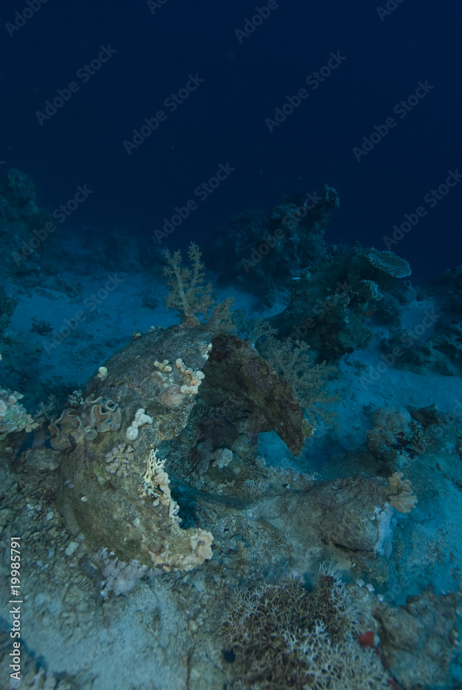 Fototapeta premium Submerged artifact