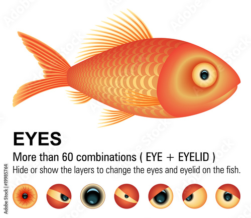 Fish - Change the eyes hiding or showing the layers