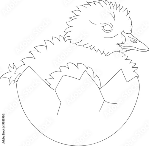 vector - newly hatched gosling in egg