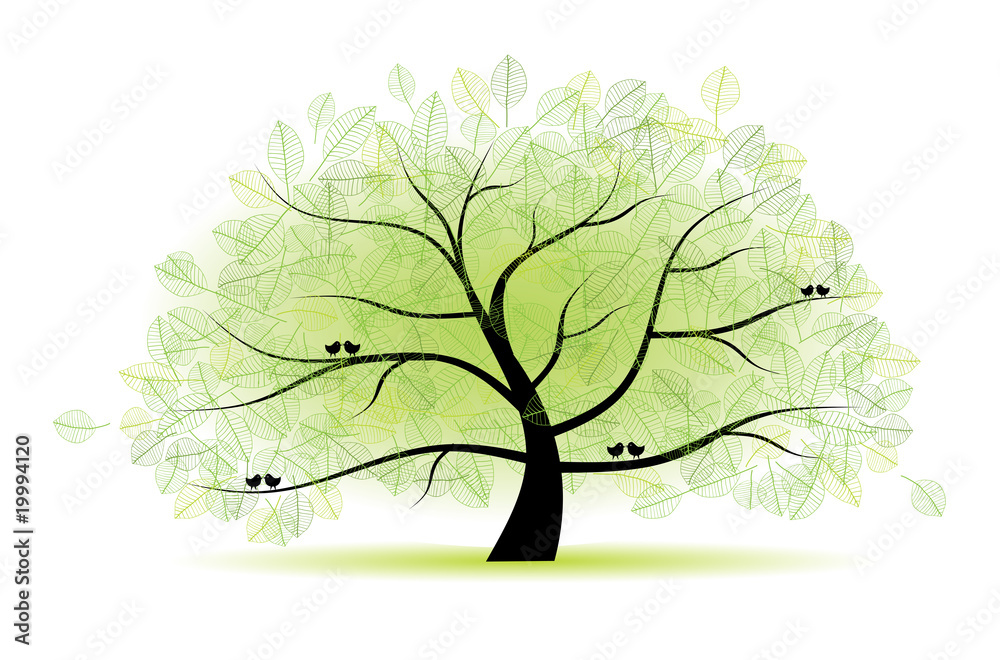 Fototapeta premium Great old tree for your design