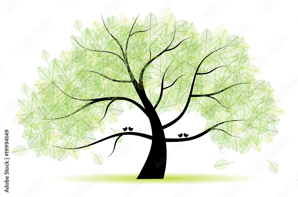 Obraz premium Great old tree for your design