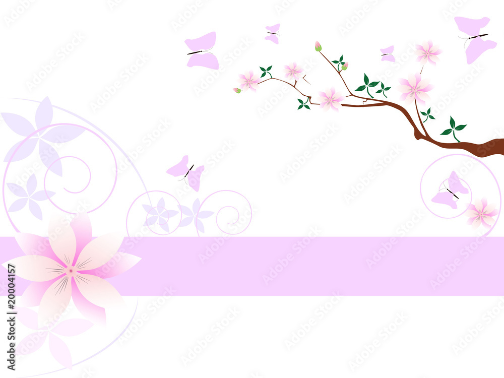 Magnolia flowers background with place for your text
