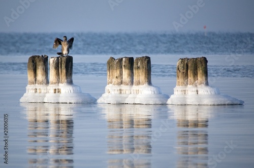 Baltic Sea. Winter