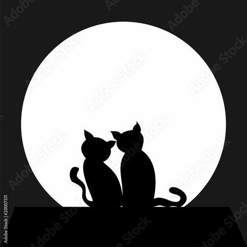 black cats