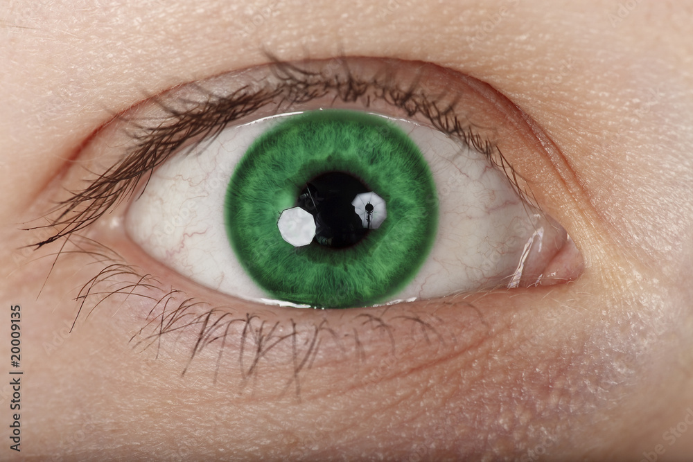 Auge grün Stock Foto Adobe Stock