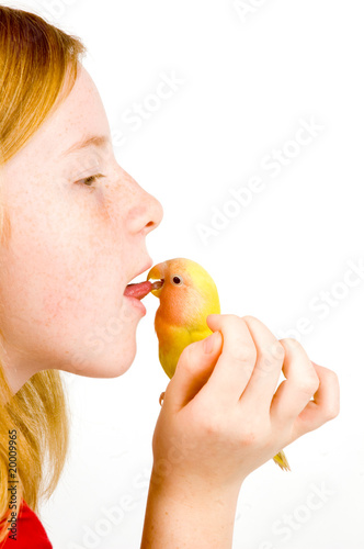 love bird is cleaning tongue of little girl