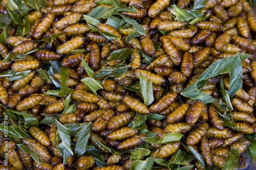 A pile of deep fried bugs - used as a kind of snack in Asia