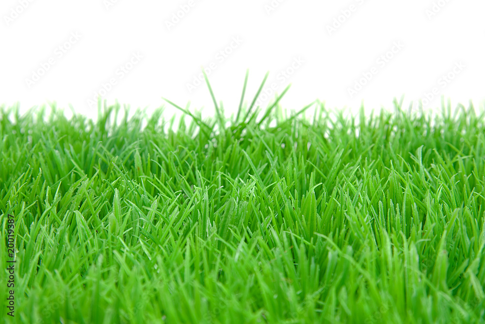 green grass green grass