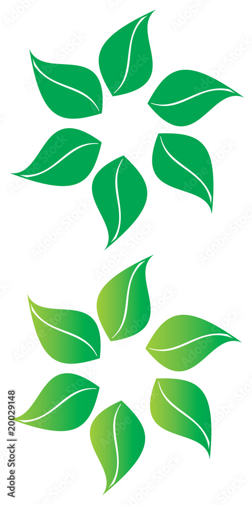 Leaf Leaf