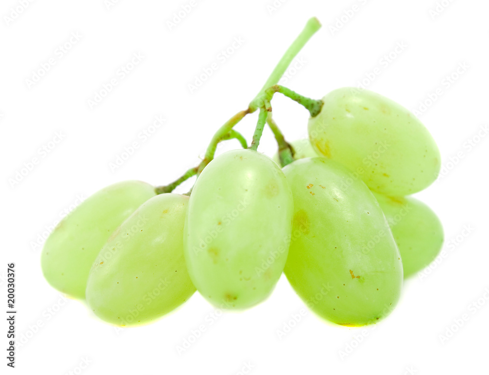 Obraz premium grapes isolated