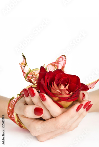 Hands with manicure and golden ribbon holding red  rose
