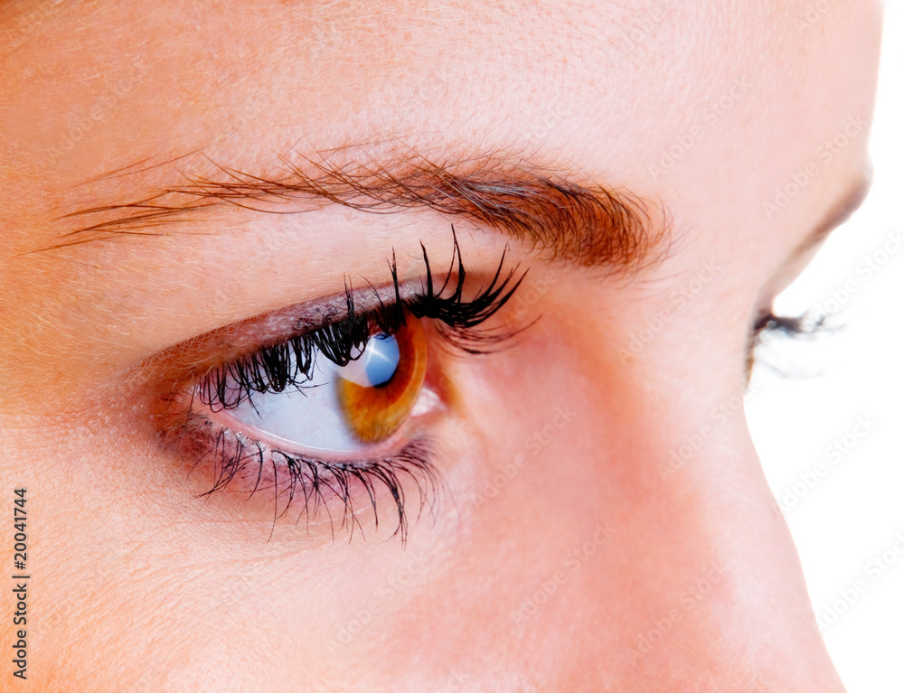 Auge Auge