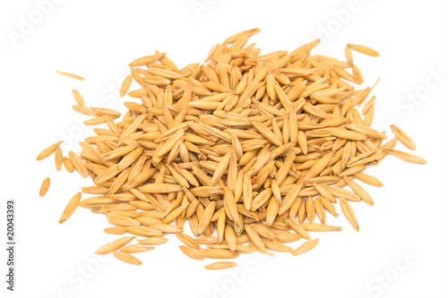 Oats grain isolated on white