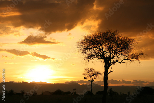 African Sunset. Tanzania, Africa